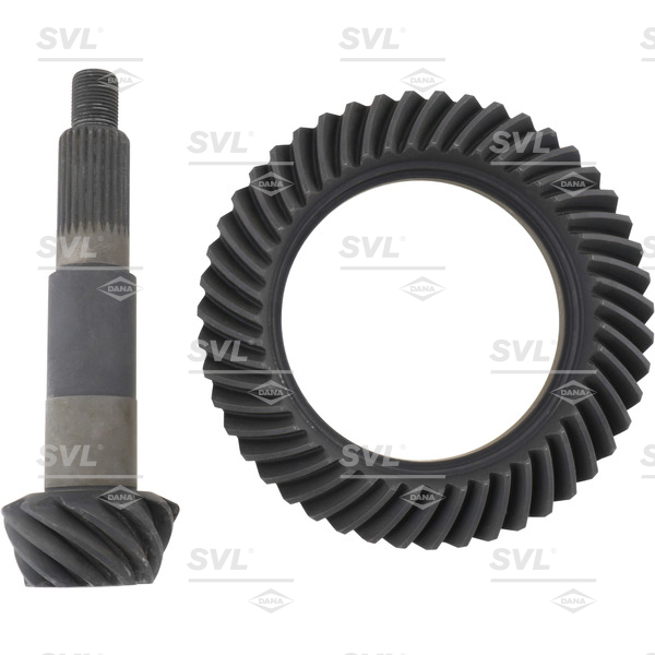 テルビーナ８本 SVL - 2023932 - Differential Ring and Pinion