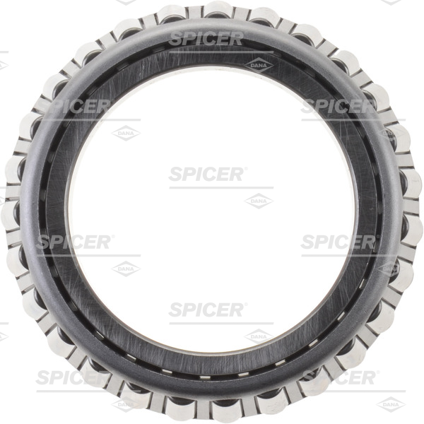 衛生日用品 kenta Spicer - 134297 - Differential Bearing