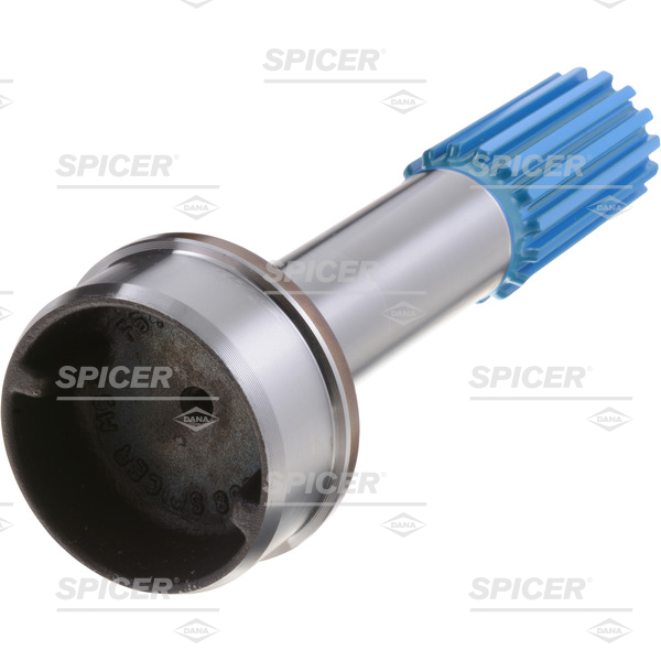 imgrc0102880069.jpg